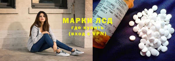 прущие грибы Бикин
