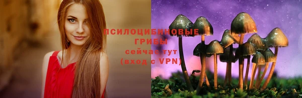 PSILOCYBIN Киренск