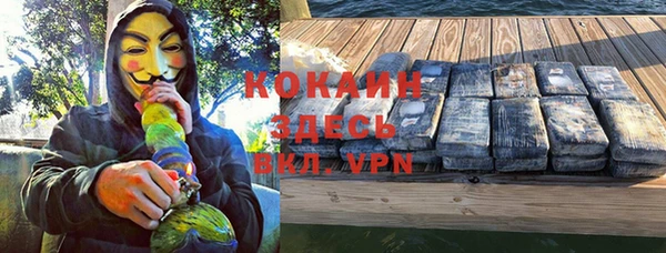 PSILOCYBIN Киренск