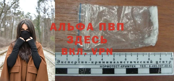 ПСИЛОЦИБИНОВЫЕ ГРИБЫ Касимов