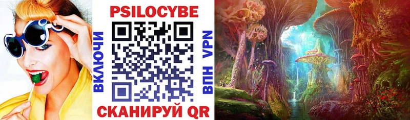 купить наркоту  OMG как зайти  Псилоцибиновые грибы ЛСД  Кувандык 